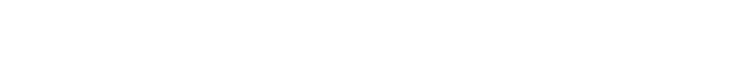 BIS Logo