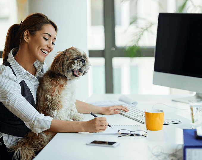 Pet Services Management
